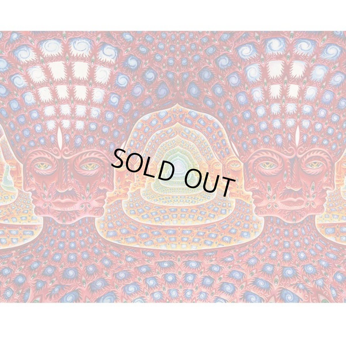 画像2: ALEX GREY タペストリー「Net of Being」 (2)