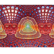 画像2: ALEX GREY タペストリー「Net of Being」 (2)