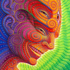 画像2: ALEX GREY ポスター「Shpongled」 (2)