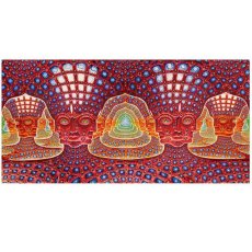 画像1: ALEX GREY タペストリー「Net of Being」 (1)