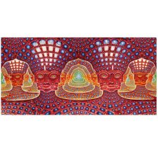 画像1: ALEX GREY タペストリー「Net of Being」 (1)