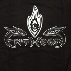 画像4: ALEX GREY メンズ・Tシャツ「Entheon Godhead」 (4)