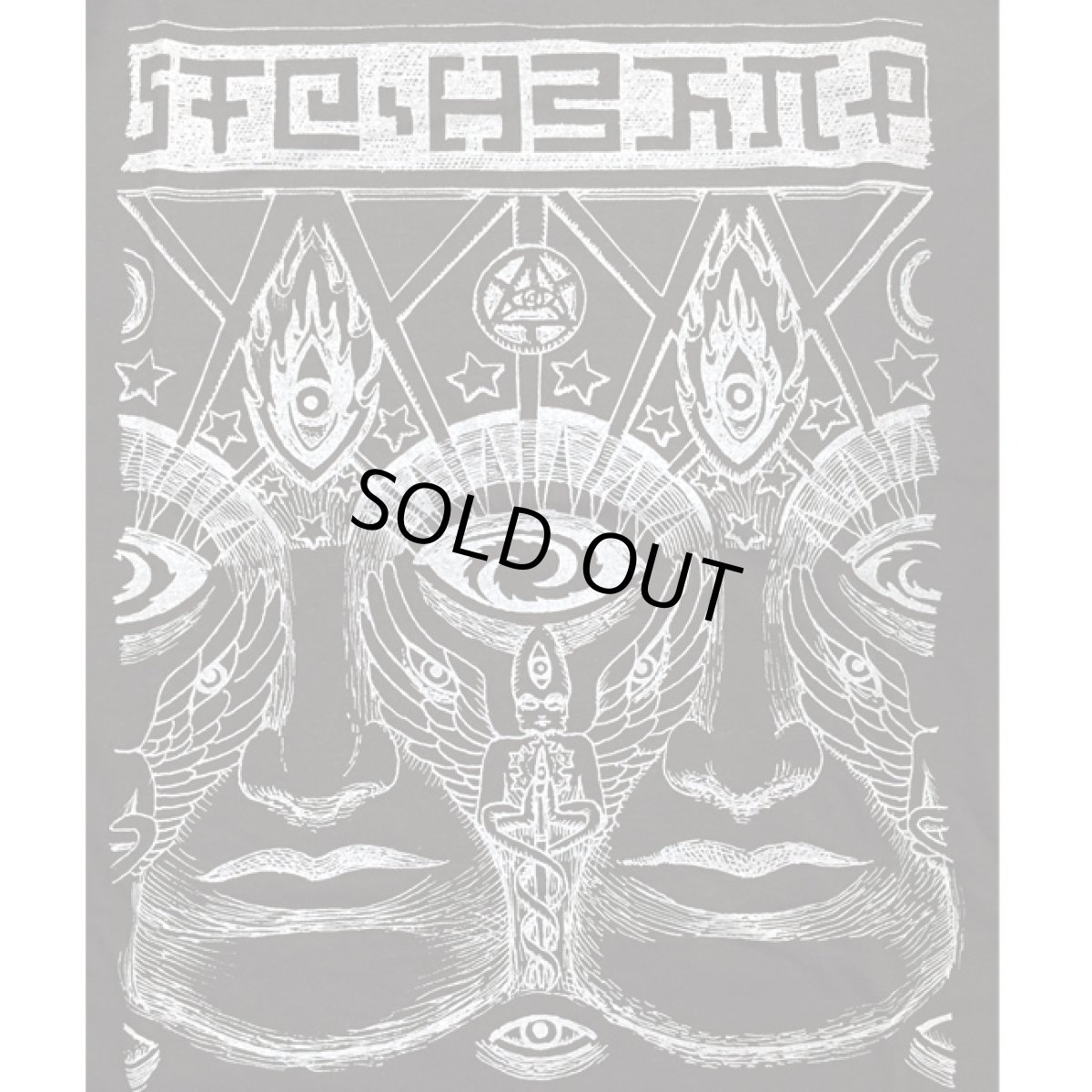 画像2: ALEX GREY メンズ・Tシャツ「Entheon Godhead」 (2)