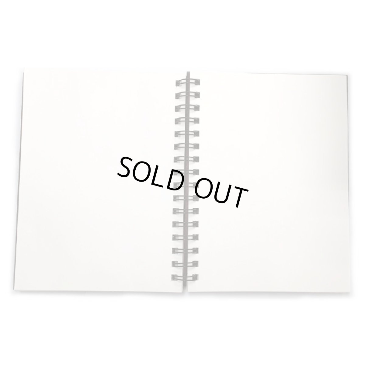 画像6: ALEX GREY スケッチブック「Mystic Eye」 (6)