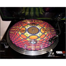 画像6: MAD TRIBE - Fake Guru ／ 12" Picture Disc (6)