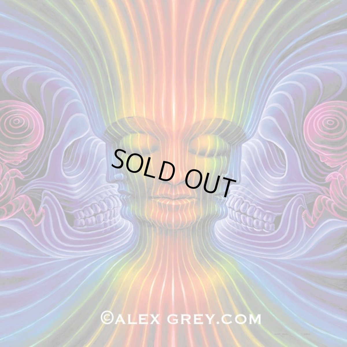 画像2: ALEX GREY タペストリー「Interbeing」 (2)