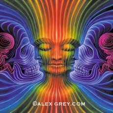 画像2: ALEX GREY タペストリー「Interbeing」 (2)