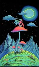 画像1: SPACE TRIBE バティック 1.2m x 2m「Mushroom Fairy」 (1)
