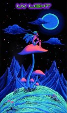 画像2: SPACE TRIBE バティック 1.2m x 2m「Mushroom Fairy」 (2)