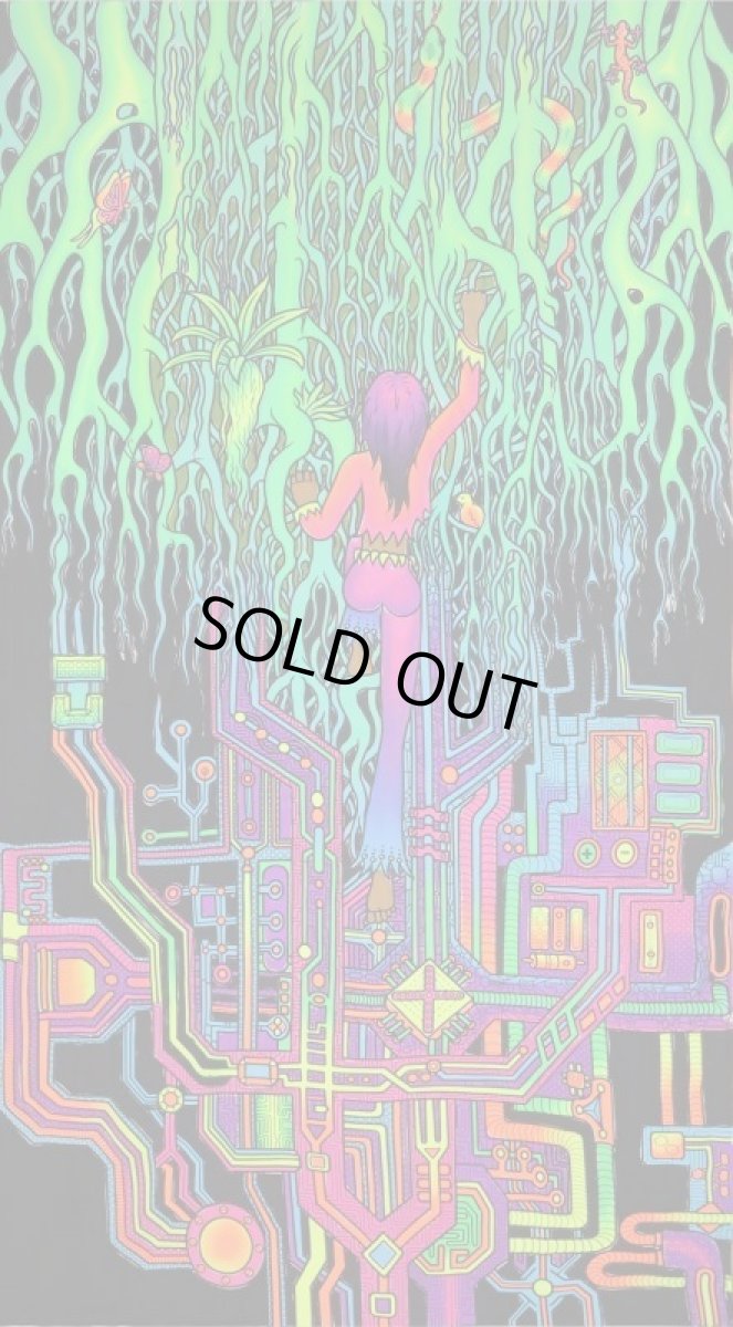 画像1: SPACE TRIBE バティック 1.2m x 2m「Back2Nature」 (1)