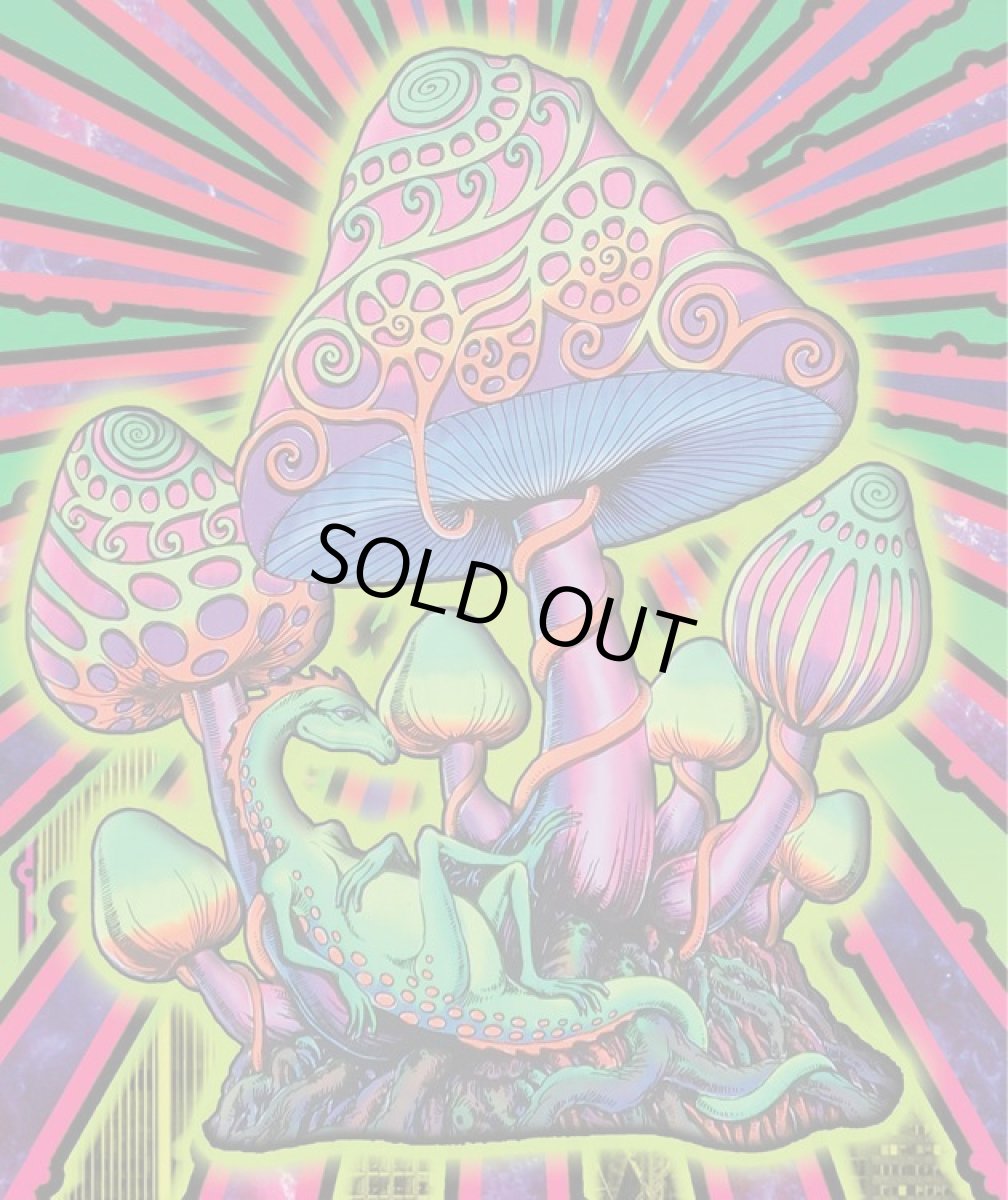 画像7: SPACE TRIBE メンズTシャツ 「Magic Shrooms」 (7)