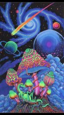 画像1: SPACE TRIBEバティック 1.2m × 2m「Cosmic Shrooms」 (1)