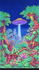 画像1: SPACE TRIBEバティック 1.2m × 2m「UFO Jungle」 (1)