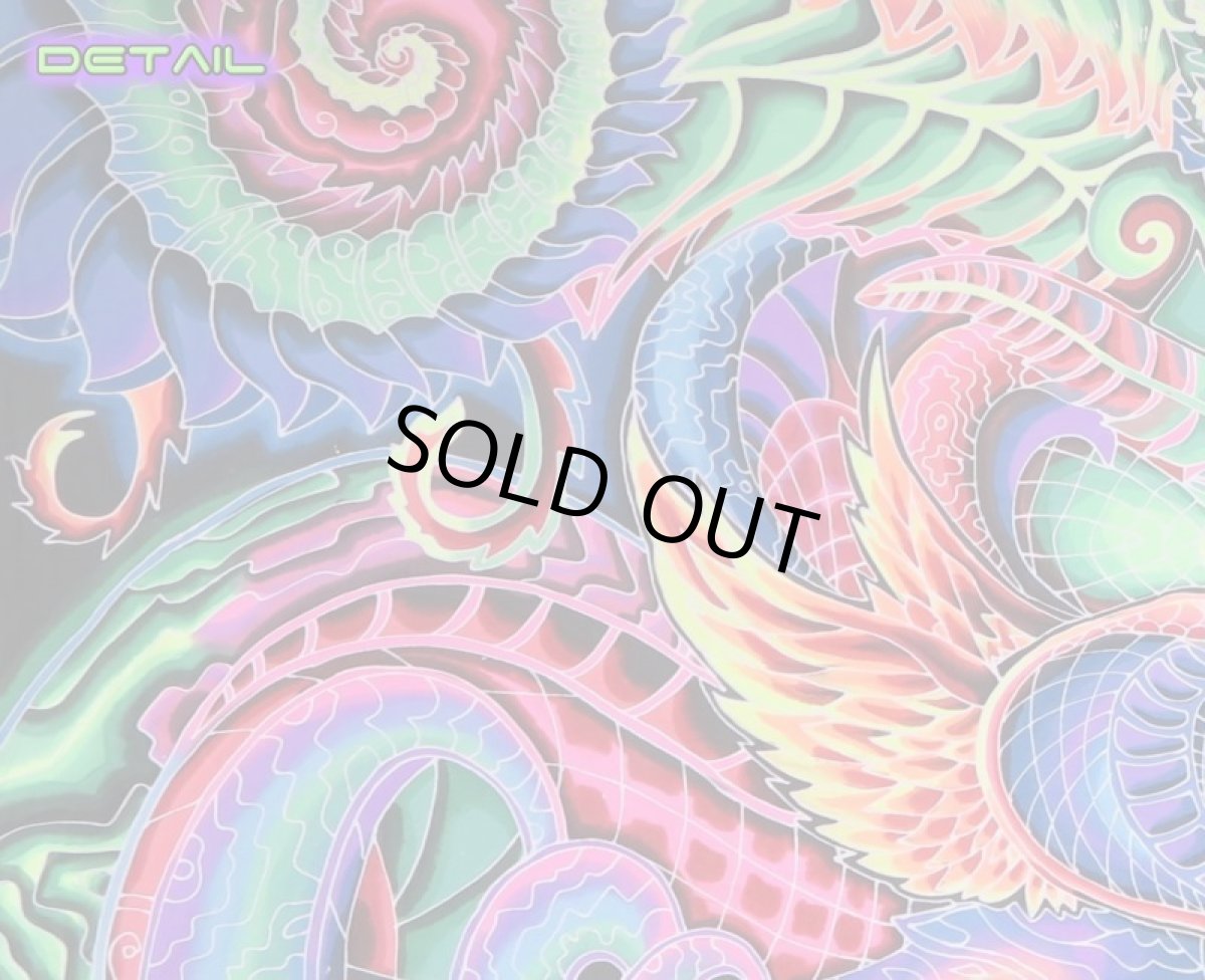 画像7: SPACE TRIBEバティック 4m × 2m「An Eye for an I」 (7)