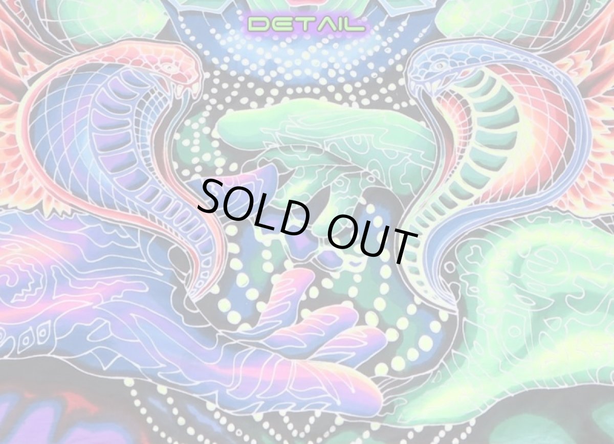 画像6: SPACE TRIBEバティック 4m × 2m「An Eye for an I」 (6)