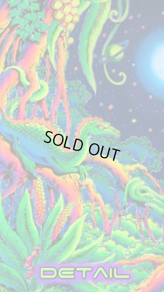 画像3: SPACE TRIBEバティック 1.2m × 2m「Mother Nature」 (3)