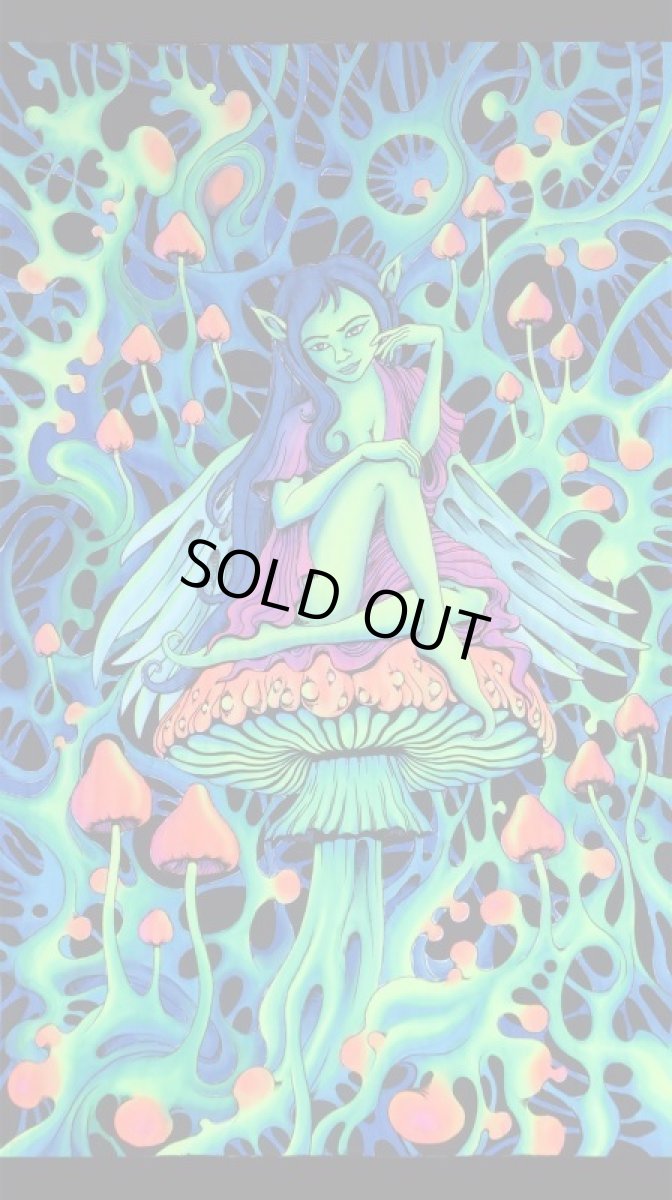 画像1: SPACE TRIBEバティック 1.2m × 2m「PsyAlaska Fairy」 (1)