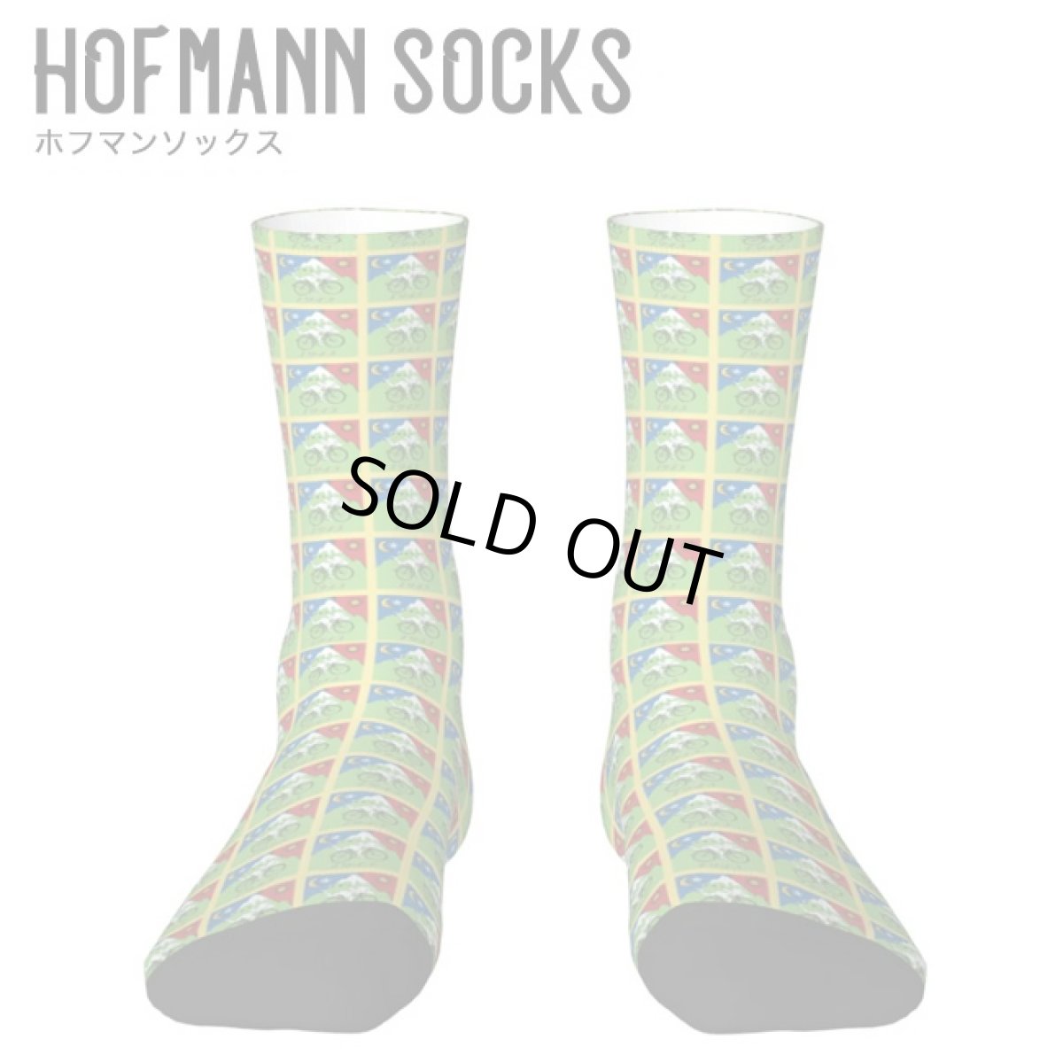 画像1: HOFMANN SOCKS 靴下 (1)