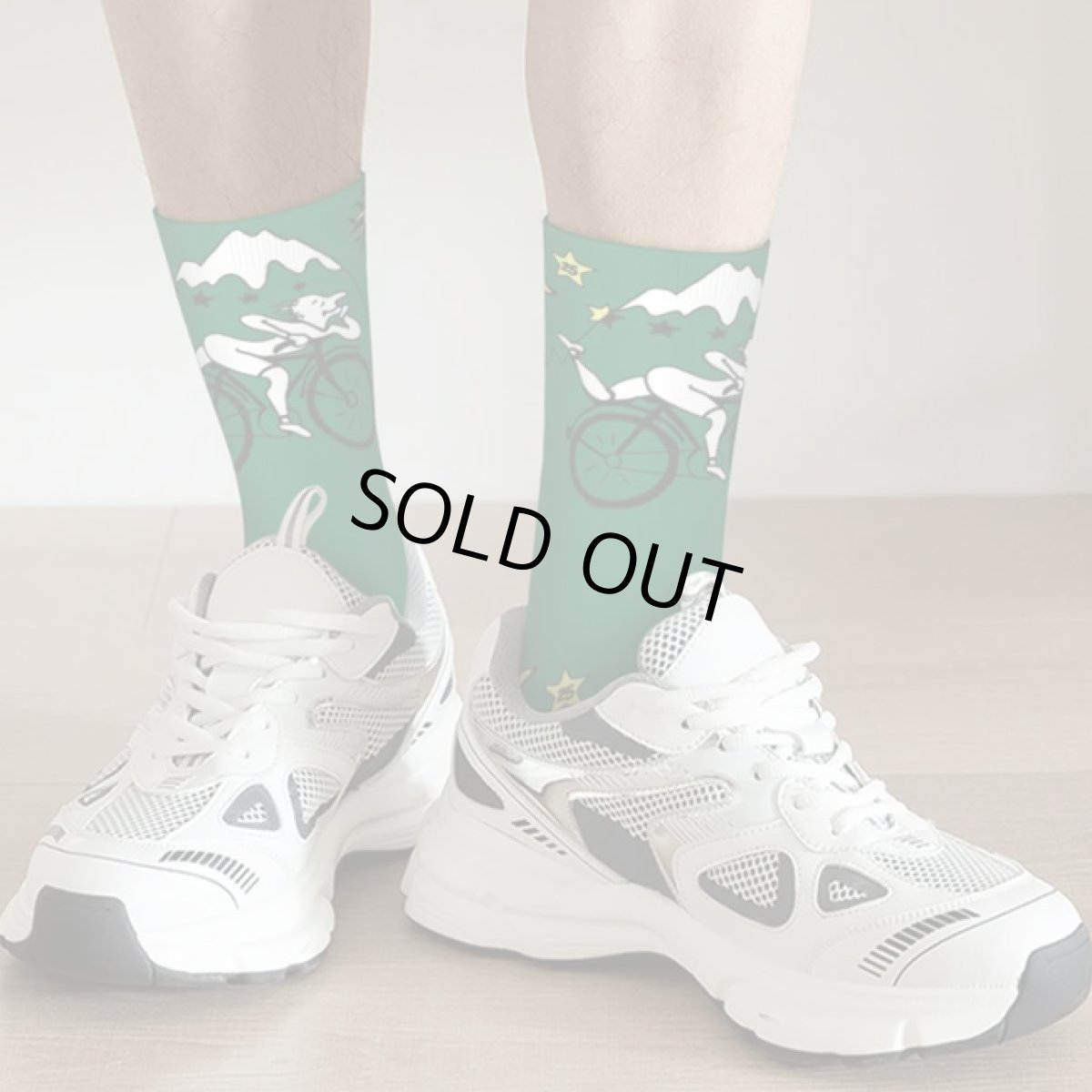 画像3: HOFMANN SOCKS 靴下 (3)