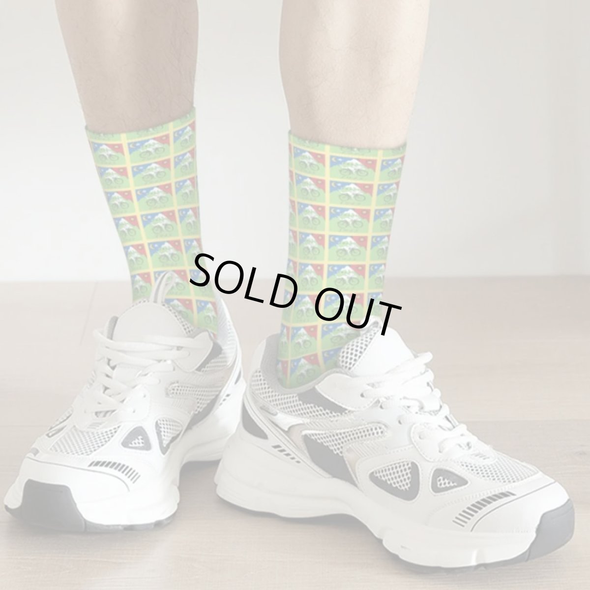 画像3: HOFMANN SOCKS 靴下 (3)