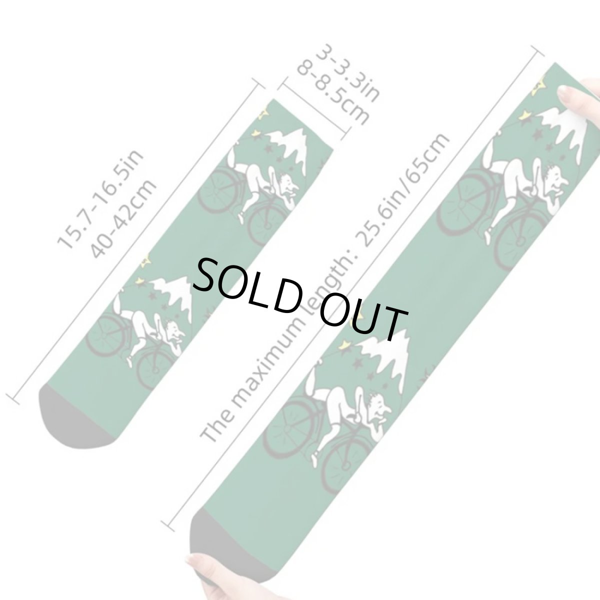 画像4: HOFMANN SOCKS 靴下 (4)