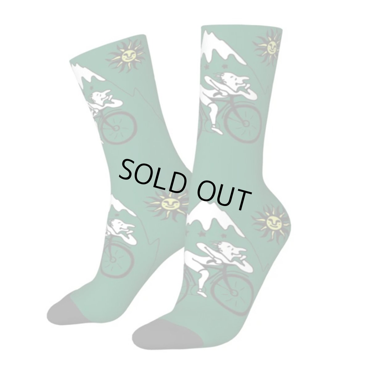 画像6: HOFMANN SOCKS 靴下 (6)