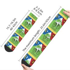 画像4: HOFMANN SOCKS 靴下 (4)