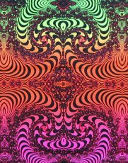 画像7: SPACE TRIBE - Hot Pants スペーストライブ ホットパンツ「Rainbow Fractal」 (7)