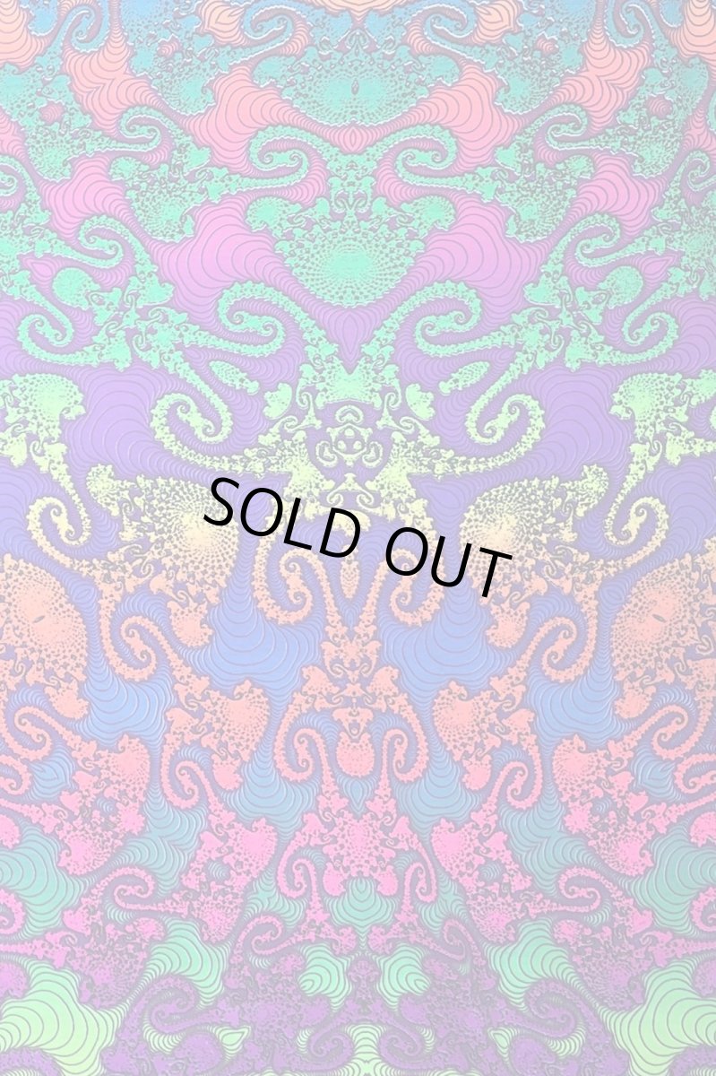 画像5: SPACE TRIBE - Utility Belt 10ポケットウエストバッグ「Rainbow Jellyfish Fractal」 (5)