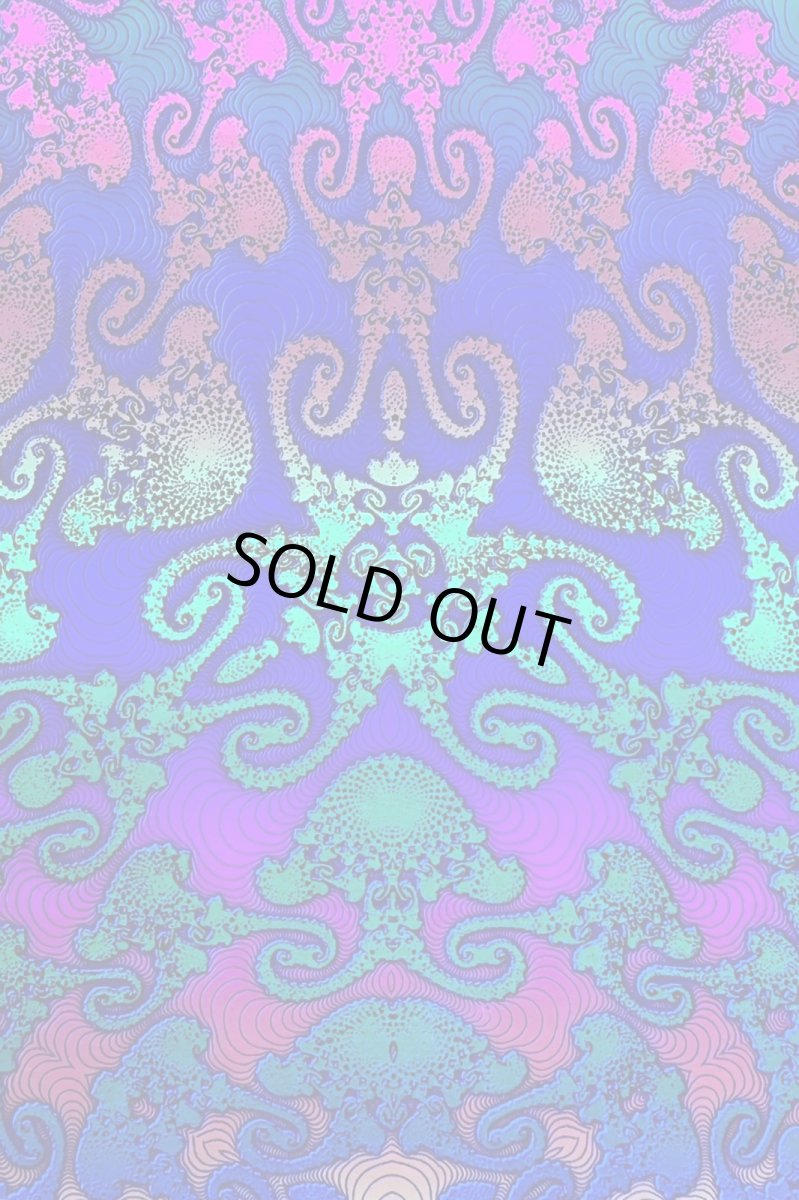 画像6: SPACE TRIBE - Utility Belt 10ポケットウエストバッグ「Rainbow Jellyfish Fractal」 (6)