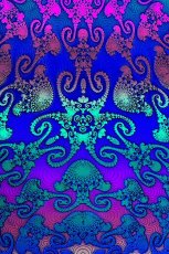画像6: SPACE TRIBE - Utility Belt 10ポケットウエストバッグ「Rainbow Jellyfish Fractal」 (6)