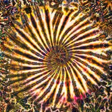画像3: GRATEFUL TIE-DYE FACTORY メンズ 半袖Tシャツ（3XLサイズ） (3)