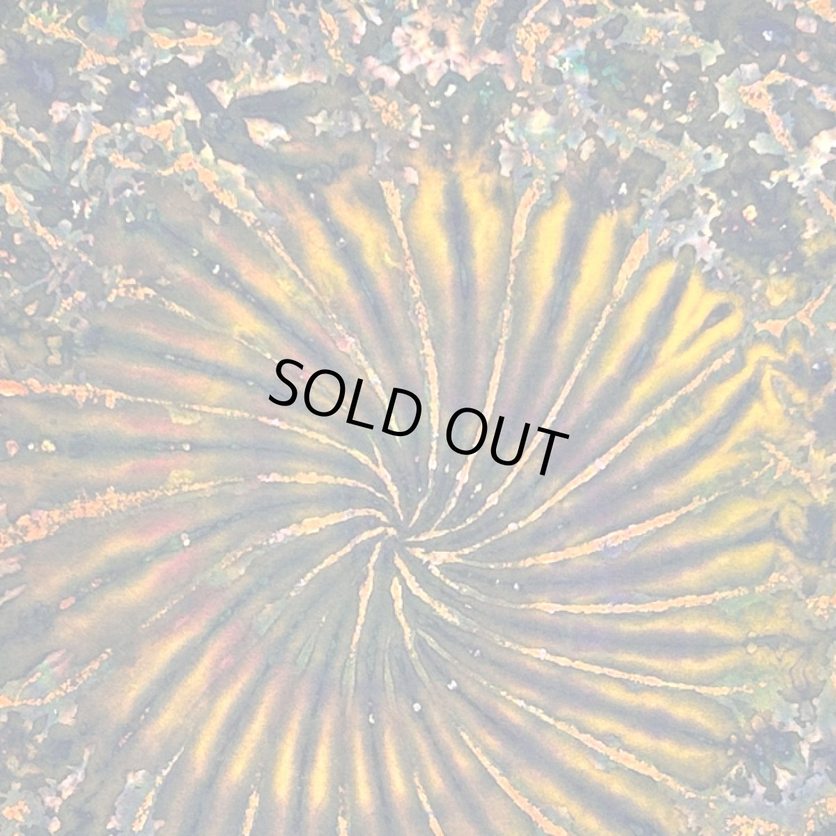 画像3: GRATEFUL TIE-DYE FACTORY メンズ 半袖Tシャツ（Lサイズ） (3)