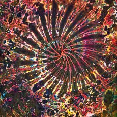 画像3: GRATEFUL TIE-DYE FACTORY メンズ 半袖Tシャツ（Lサイズ） (3)
