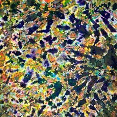 画像3: GRATEFUL TIE-DYE FACTORY メンズ 半袖Tシャツ（XLサイズ） (3)