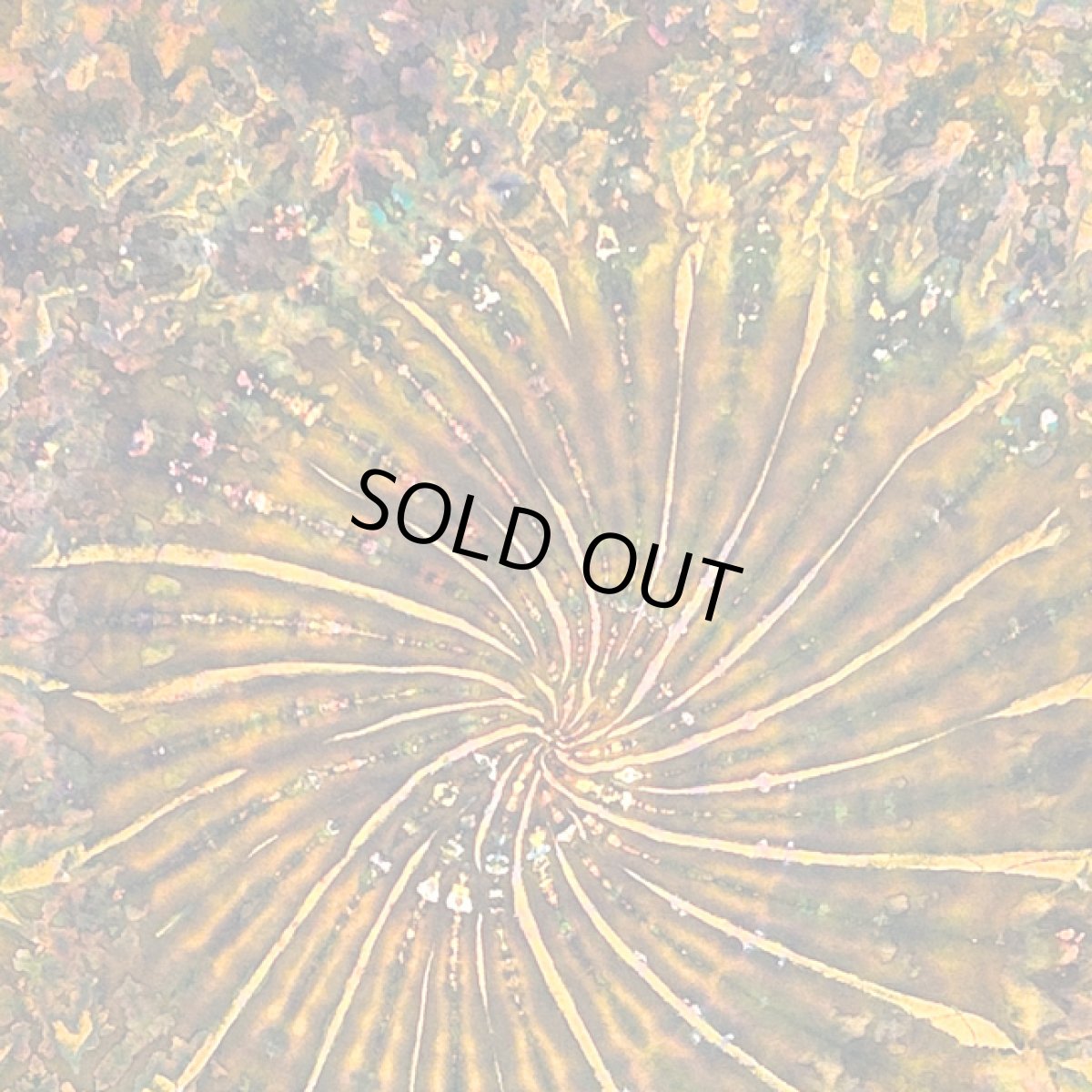 画像3: GRATEFUL TIE-DYE FACTORY メンズ 半袖Tシャツ（XLサイズ） (3)