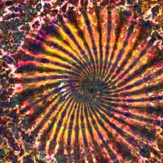 画像3: GRATEFUL TIE-DYE FACTORY メンズ 半袖Tシャツ（2XLサイズ） (3)