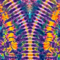 画像3: GRATEFUL TIE-DYE FACTORY メンズ 半袖Tシャツ（Mサイズ） (3)