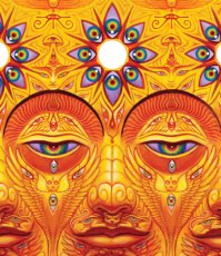 画像2: ALEX GREY アレックスグレイ ポスター「Sunyata」 (2)