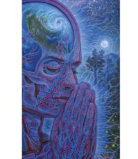 画像2: ALEX GREY アレックスグレイ ポスター「Planetary Prayers」 (2)