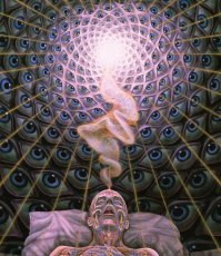画像2: ALEX GREY アレックスグレイ ポスター「DYING」 (2)