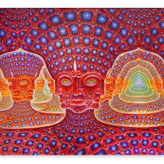 画像2: ALEX GREY アレックスグレイ ポスター「Net of Being」 (2)
