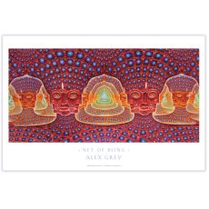 画像1: ALEX GREY アレックスグレイ ポスター「Net of Being」 (1)