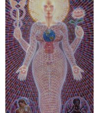 画像2: ALEX GREY アレックスグレイ ポスター「SOPHIA」 (2)