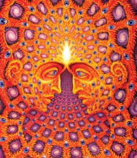 画像2: ALEX GREY アレックスグレイ ポスター「ONE」 (2)