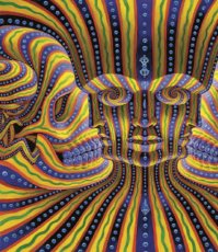 画像2: ALEX GREY アレックスグレイ ポスター「Bardo Being」 (2)