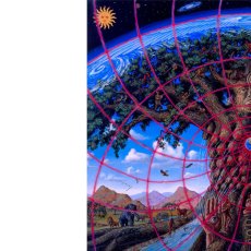 画像2: ALEX GREY アレックスグレイ ポスター「GAIA」 (2)