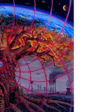画像3: ALEX GREY アレックスグレイ ポスター「GAIA」 (3)