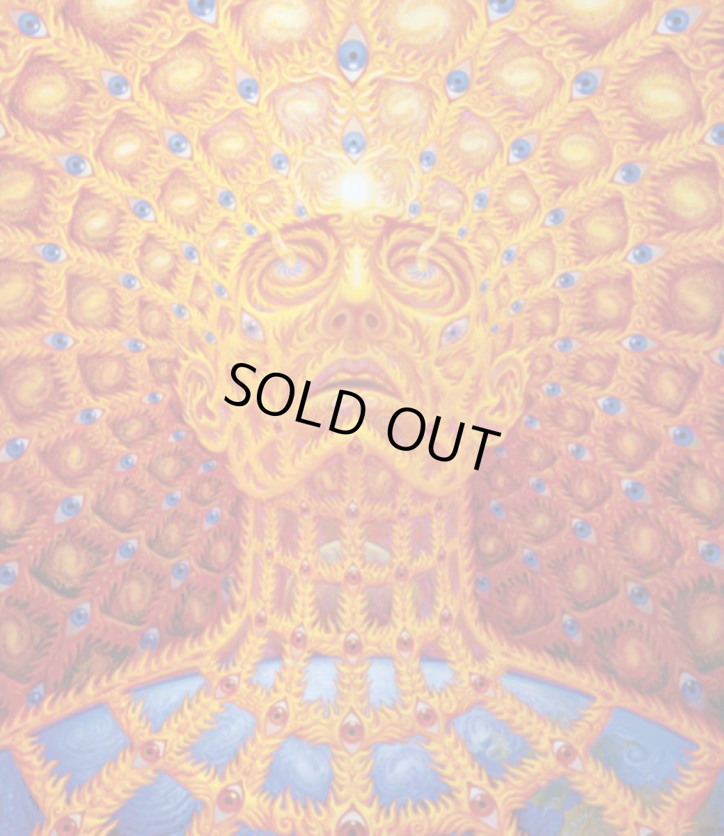 画像2: ALEX GREY アレックスグレイ ポスター「Oversoul」 (2)