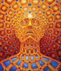 画像2: ALEX GREY アレックスグレイ ポスター「Oversoul」 (2)